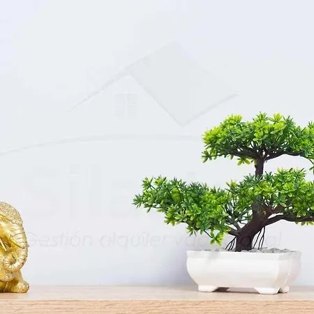 Cruz Victoria * Gijón